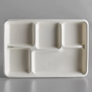 5 Compartment Bio-degradable White Plate