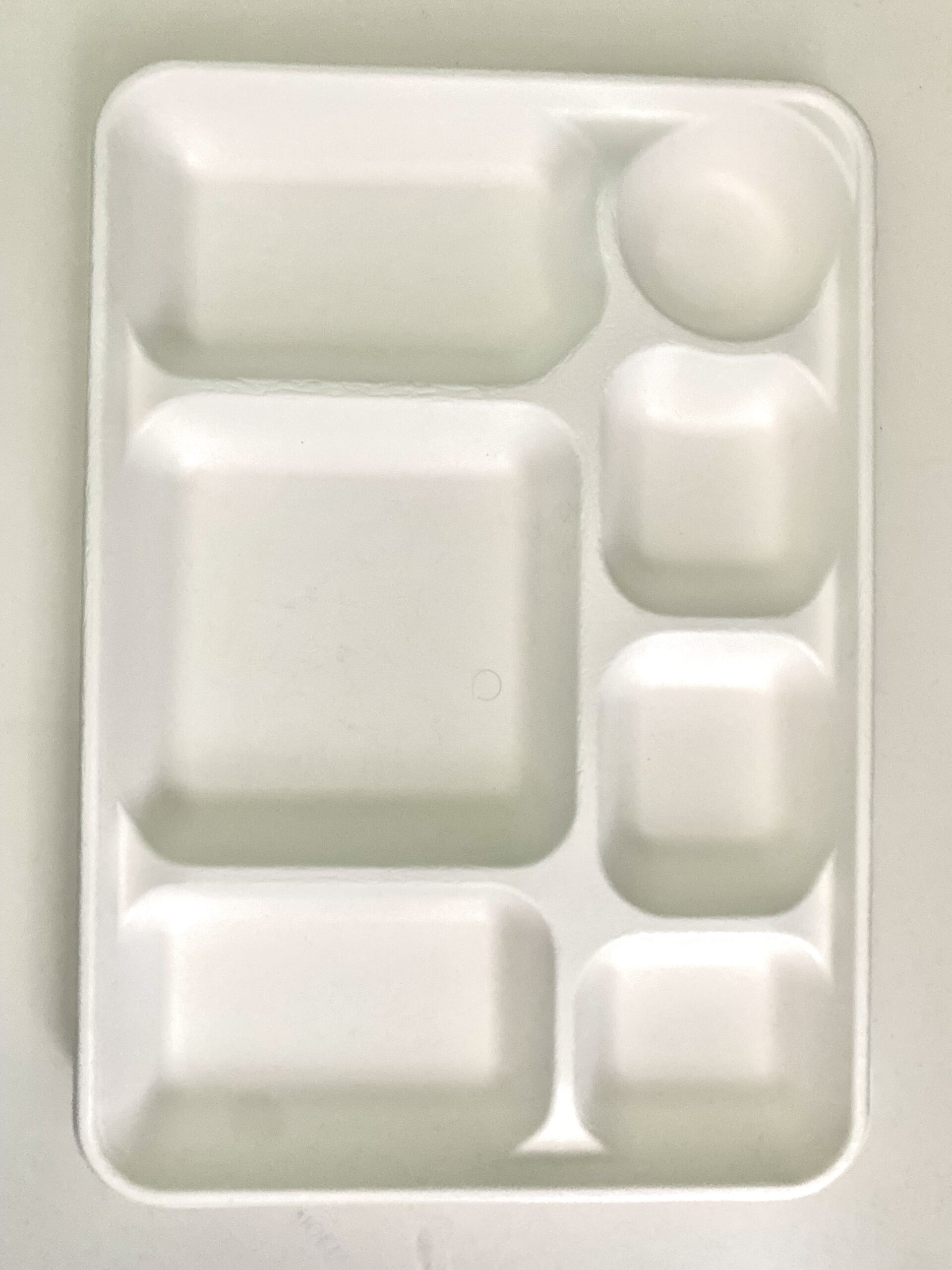 White 10 Compartment Plate -  - Virgin Plastic Thalis & Price  Match!